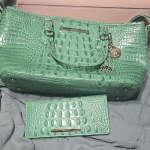 Green Crocodile Embossed Women's Bag and Wallet Set